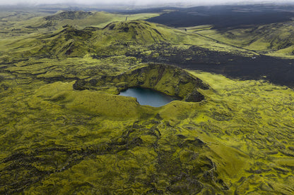 Tjarnargígur